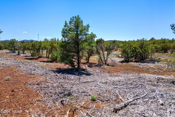 28 N3128, Vernon, AZ 85940