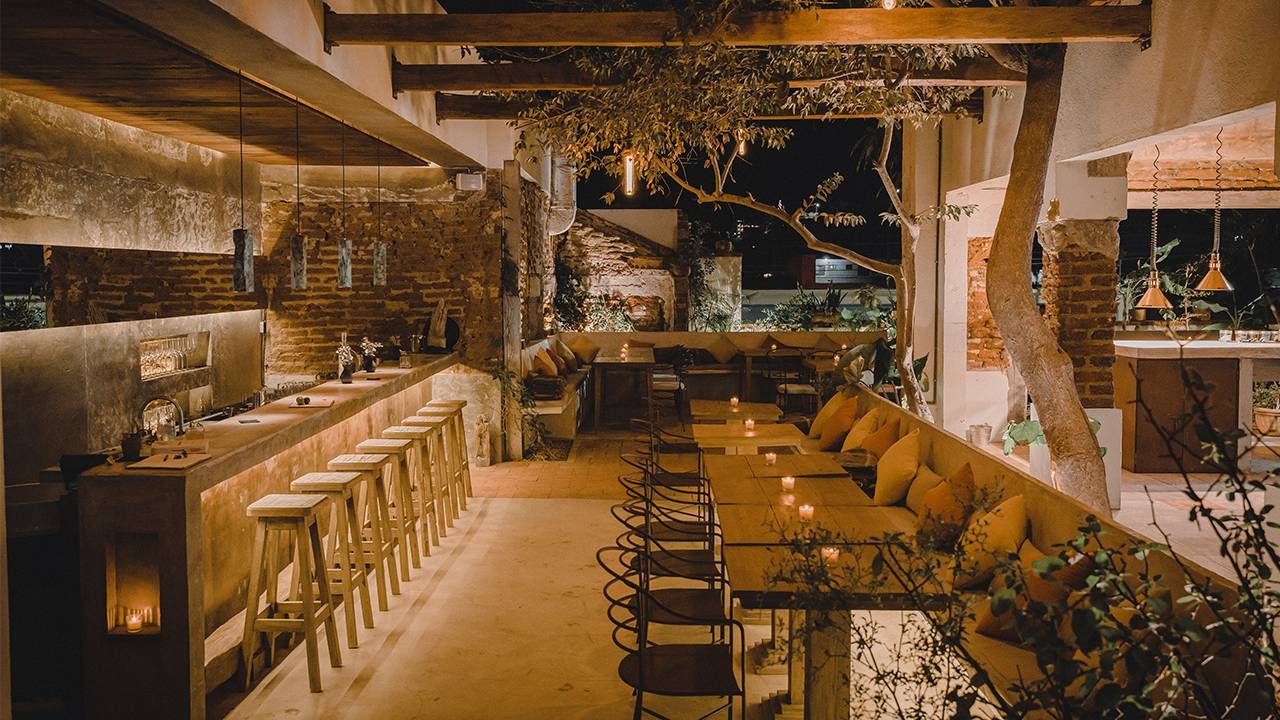 kitchen restaurant san jose del cabo art district