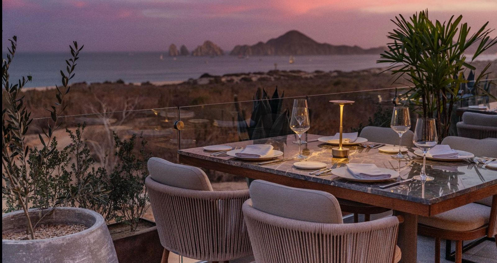 harrys restaurant cabo steak house