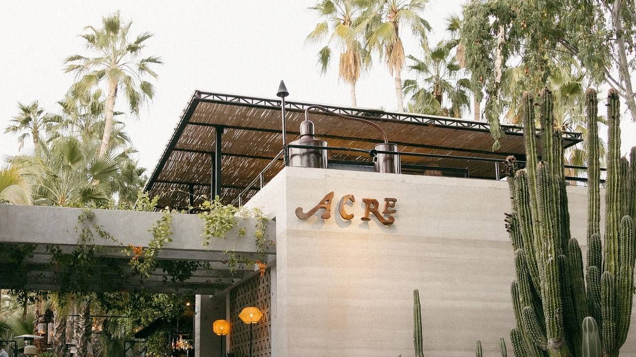 acre restaurant san jose del cabo