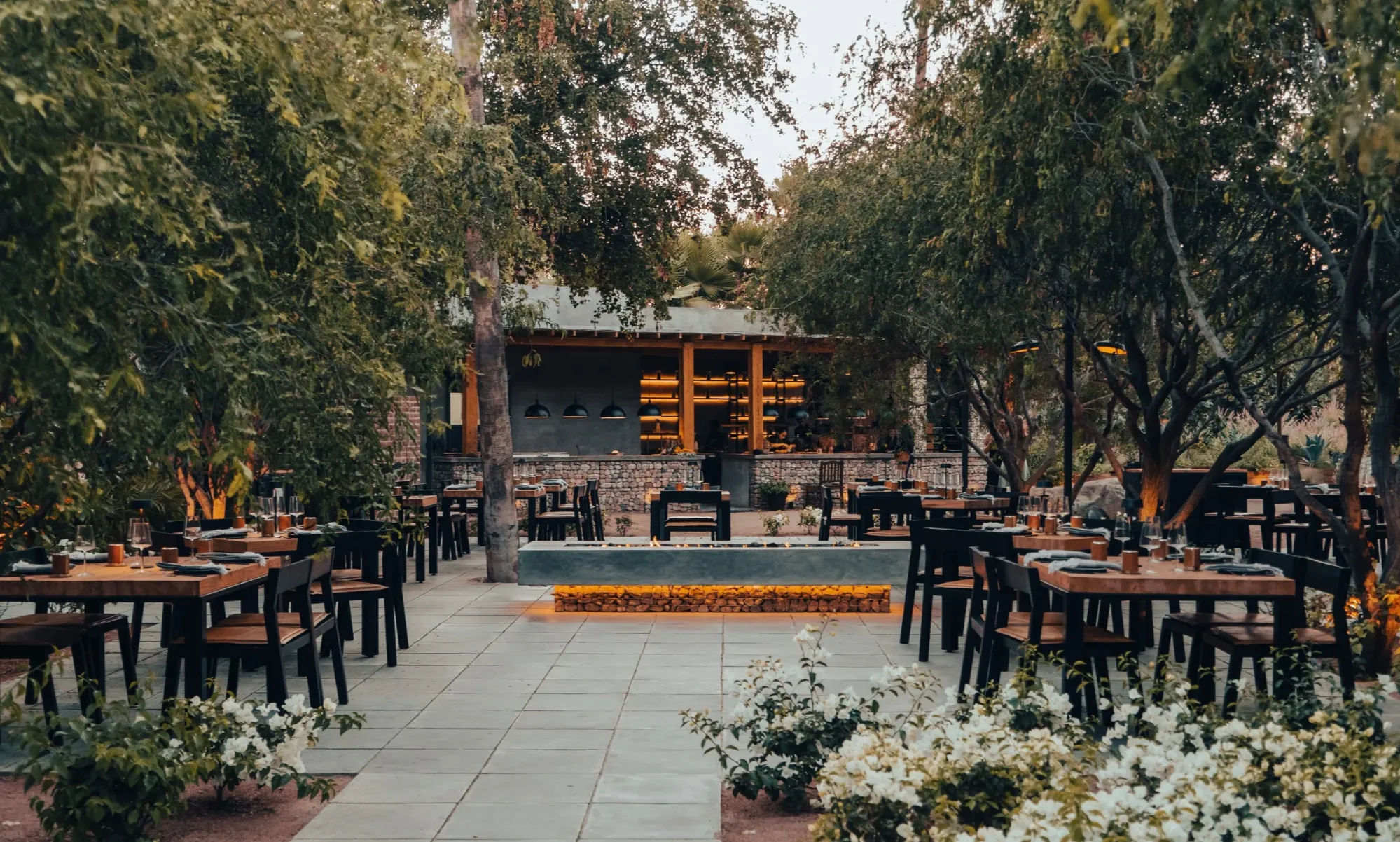 limo san jose del cabo restaurant