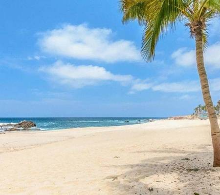 Pacific Side beach with palm trees