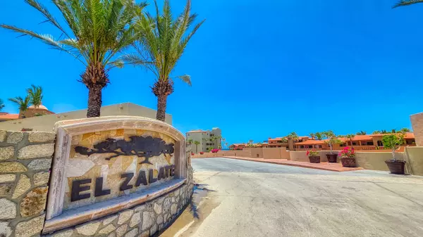 el zalate san jose del cabo