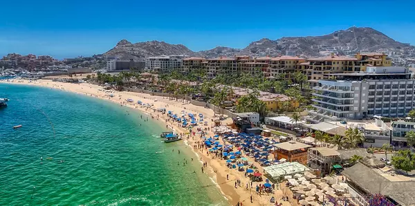 Pet Friendly Beaches in Cabo,Info Ownincabo