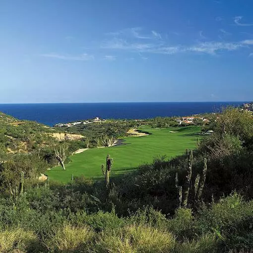 Calle Tiburon #Hacienda Palmilla, San Jose Corridor, BCS