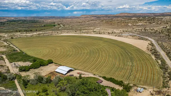 NYA ROAD 4954, Bloomfield, NM 87413