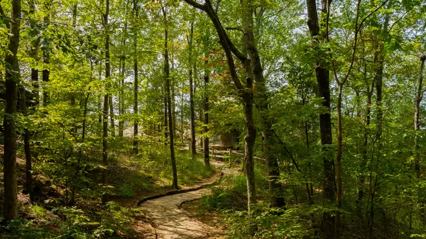 Best Hiking Trails Within 5 Miles of Gainesville, GA