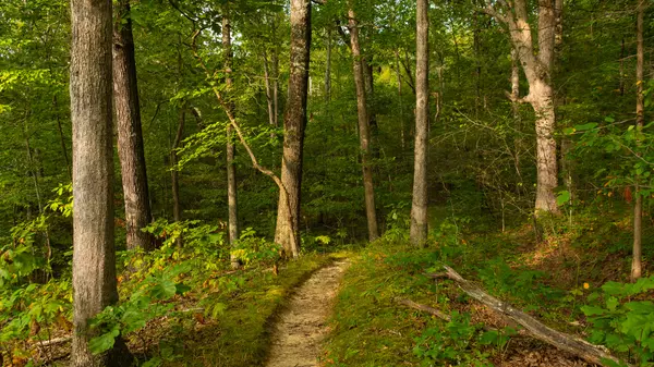 Can’t-Miss Local Spots in Gainesville GA (That Even Locals Love)