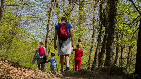 Family-Friendly Trails Near Gainesville, GA