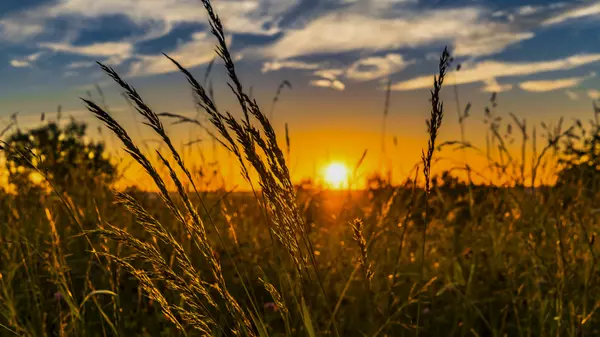 Permission to Pause – Why Rest Is Sacred (Even When You're Building Something Big)