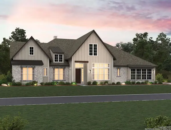 1145 Cape May Warbler, New Braunfels, TX 78132
