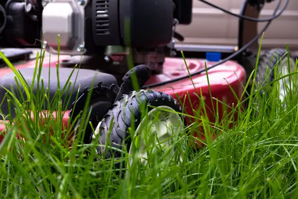 Lawnmower moving yard landscaping improvement Vision Realty