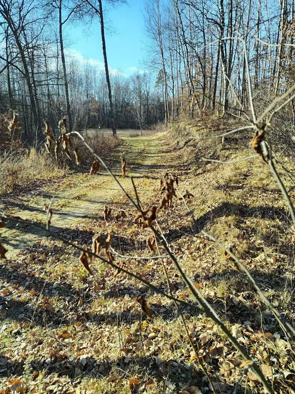 28515 Fools Lake DR, Park Rapids, MN 56470