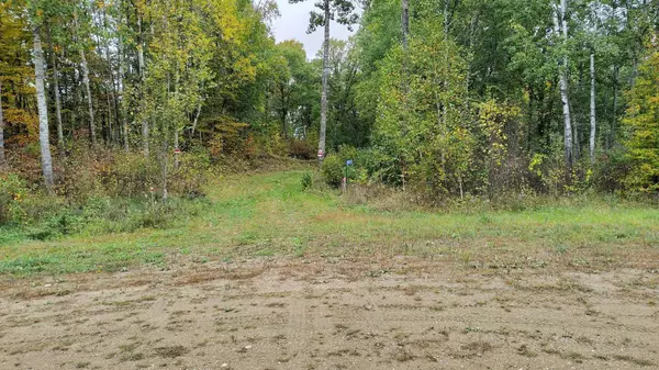 28515 Fools Lake DR, Park Rapids, MN 56470