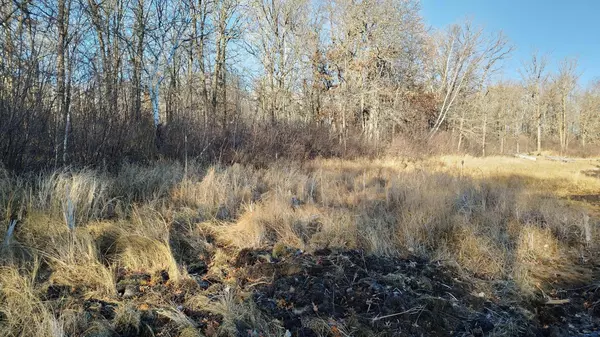 28515 Fools Lake DR, Park Rapids, MN 56470