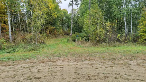 28515 Fools Lake DR, Park Rapids, MN 56470