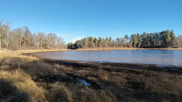 28515 Fools Lake DR, Park Rapids, MN 56470