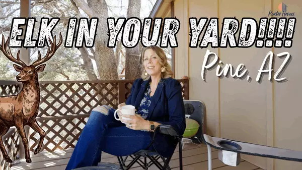 Elk in Your Yard? Welcome to Pine, AZ Living 