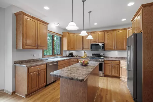 2717 Meadow Path, New Lenox, IL 60451