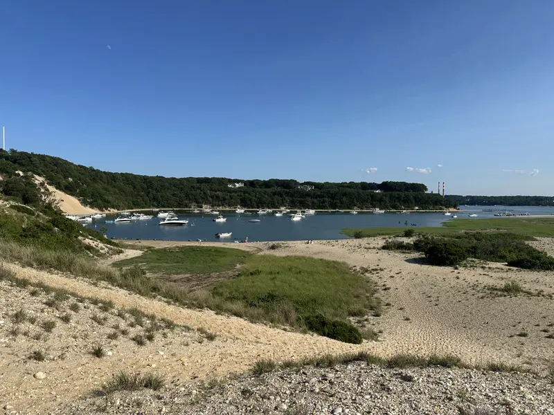 Belle Terre