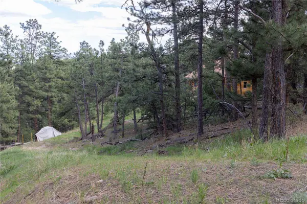 3600 Blue Mountain TRL, Lyons, CO 80540