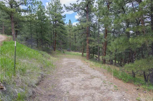 3600 Blue Mountain TRL, Lyons, CO 80540