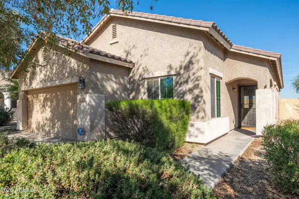 19128 W WOODLANDS Avenue, Buckeye, AZ 85326