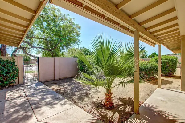 12228 N 64th Street, Scottsdale, AZ 85254