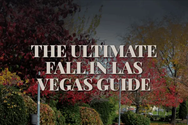 The Ultimate Fall In Las Vegas Guide