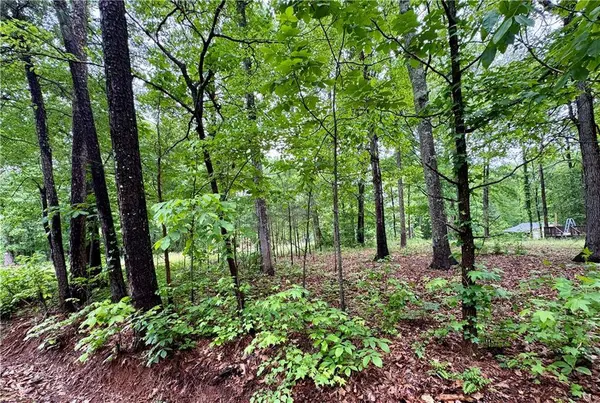 126 Mccready DR, Dallas, GA 30157