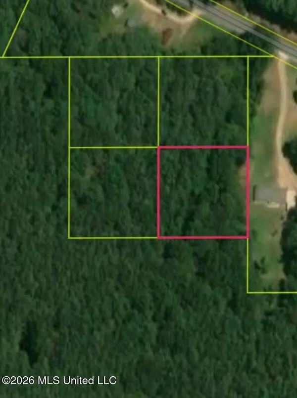 SW Summit Drive, Bogue Chitto, MS 39629