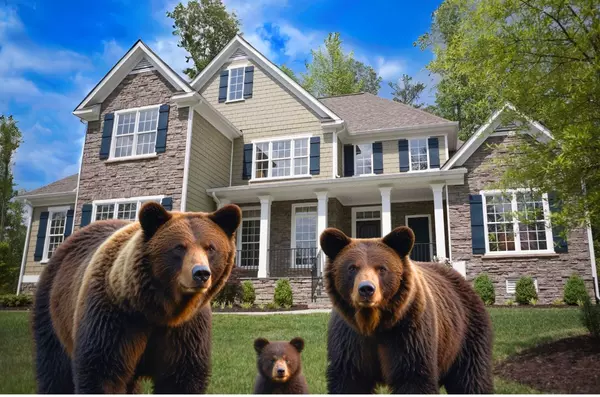 3Bears (1920 x 1080 px)