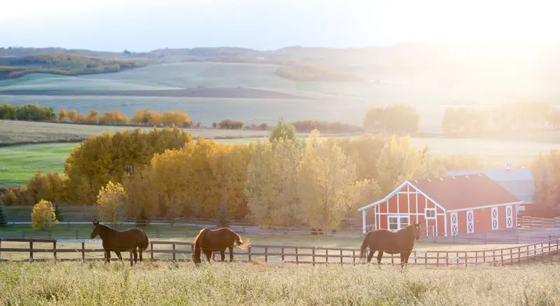 Alberta Farm and Farmland Real Estate: A Complete Buyer's and Seller's Guide