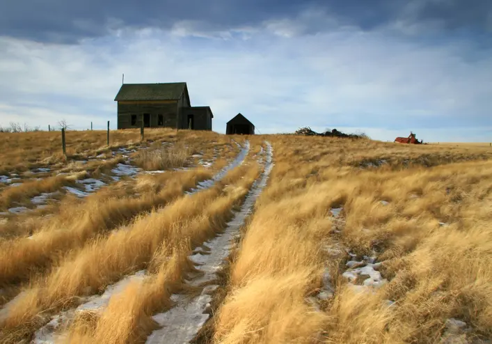 Farmland for Sale in Mountain View County: What Buyers Should Know