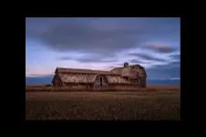 Buying a Home in Didsbury, Alberta: A Buyer's Guide