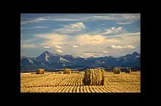 Buying a Home in Cremona, Alberta: A Buyer's Guide