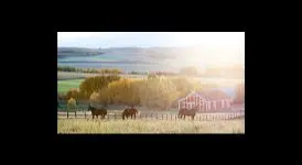 Buying a Home in Sundre, Alberta: A Buyer's Guide