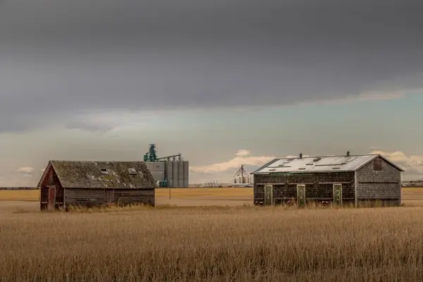 Farmland for Sale in Mountain View County: What Buyers Should Know