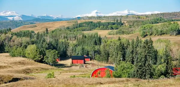Mountain View County Acreages, Land, and Communities Guide