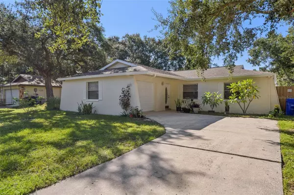 440 EVERGREEN DR, Oldsmar, FL 34677