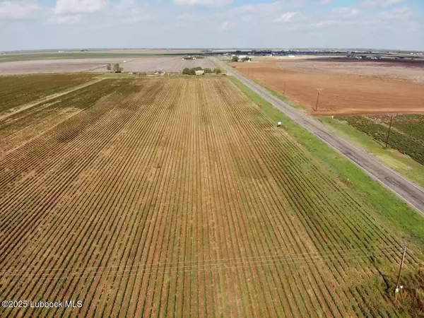 FM168, Ropesville, TX 79358