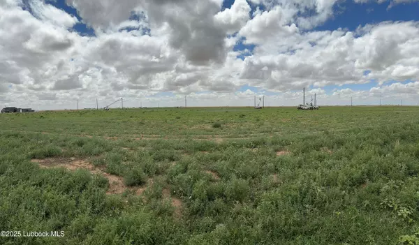 FM168, Ropesville, TX 79358