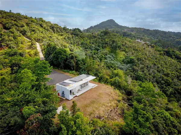 Bo Sumido 7737 KM 1 6, Cayey, PR 00736