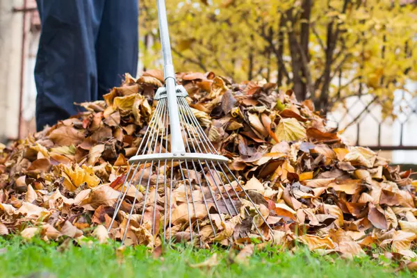 Fall House Cleaning Tips to Sell Your House
