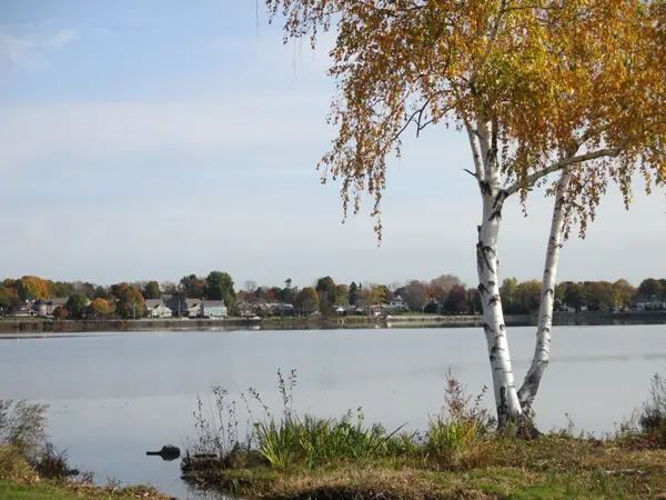 Dog Days of Summer: Back-to-School and Seasonal Shifts in Wakefield, MA
