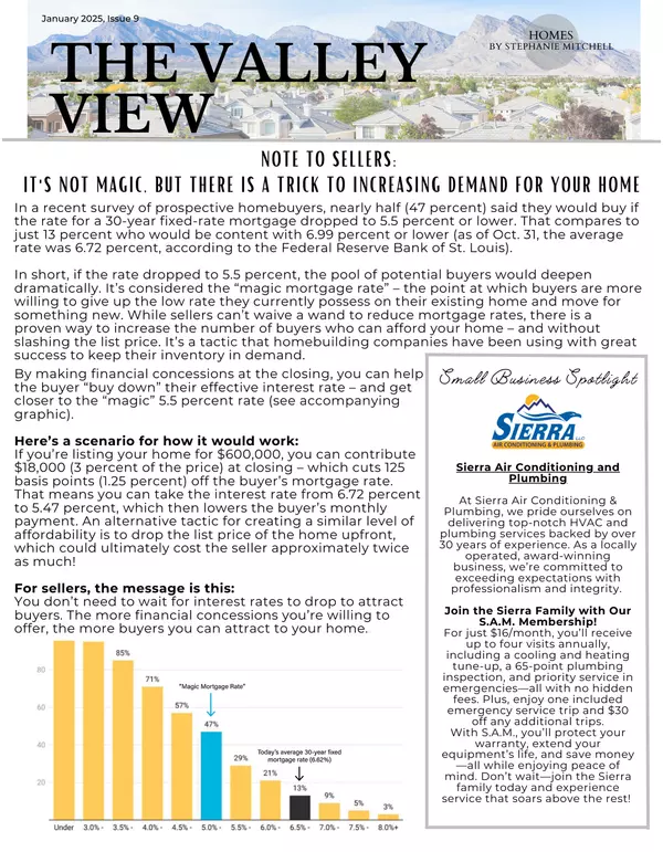 The Valley View Newsletter - Jan 2025 - Issue 9