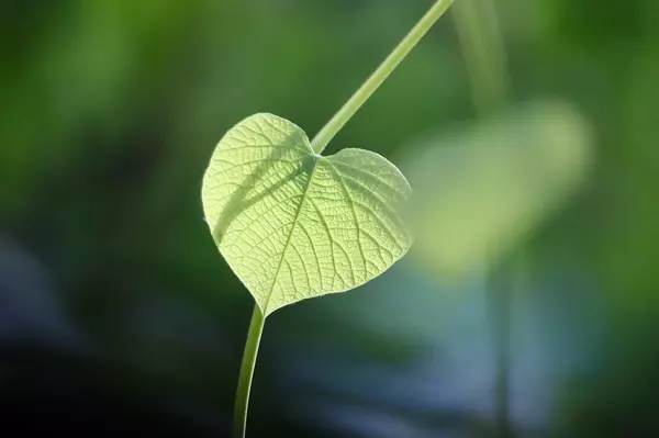 NYC’s Best Green and Sustainable Buildings for Eco-Minded Buyers,ACLM Group