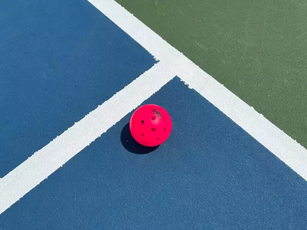 Best Pickleball Spots in Harlem,ACLM Group