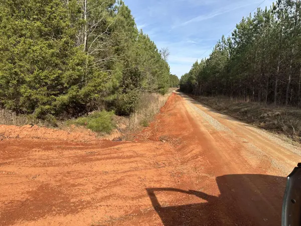 Pineywood Road, Saluda, SC 29138