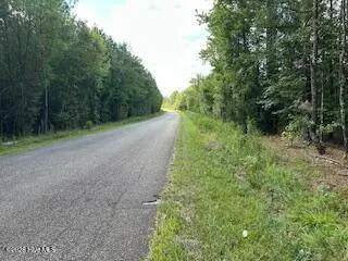 0 Old Chapell Ferry RD, Edgefield, SC 29824